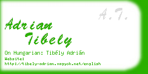 adrian tibely business card